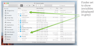 Screenshot - Finder set to show invisible files