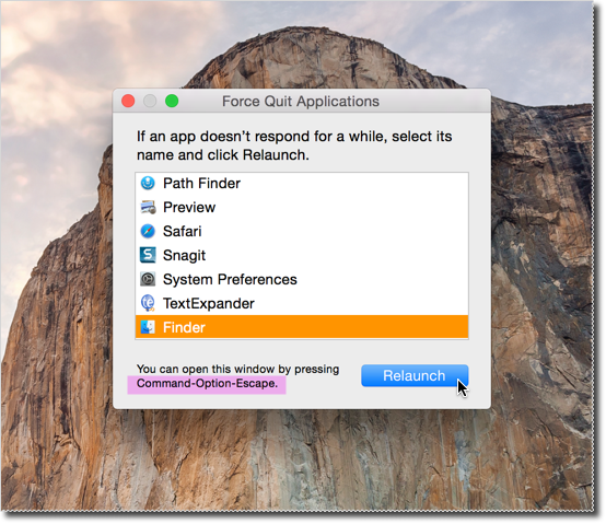 application memory mac force quit